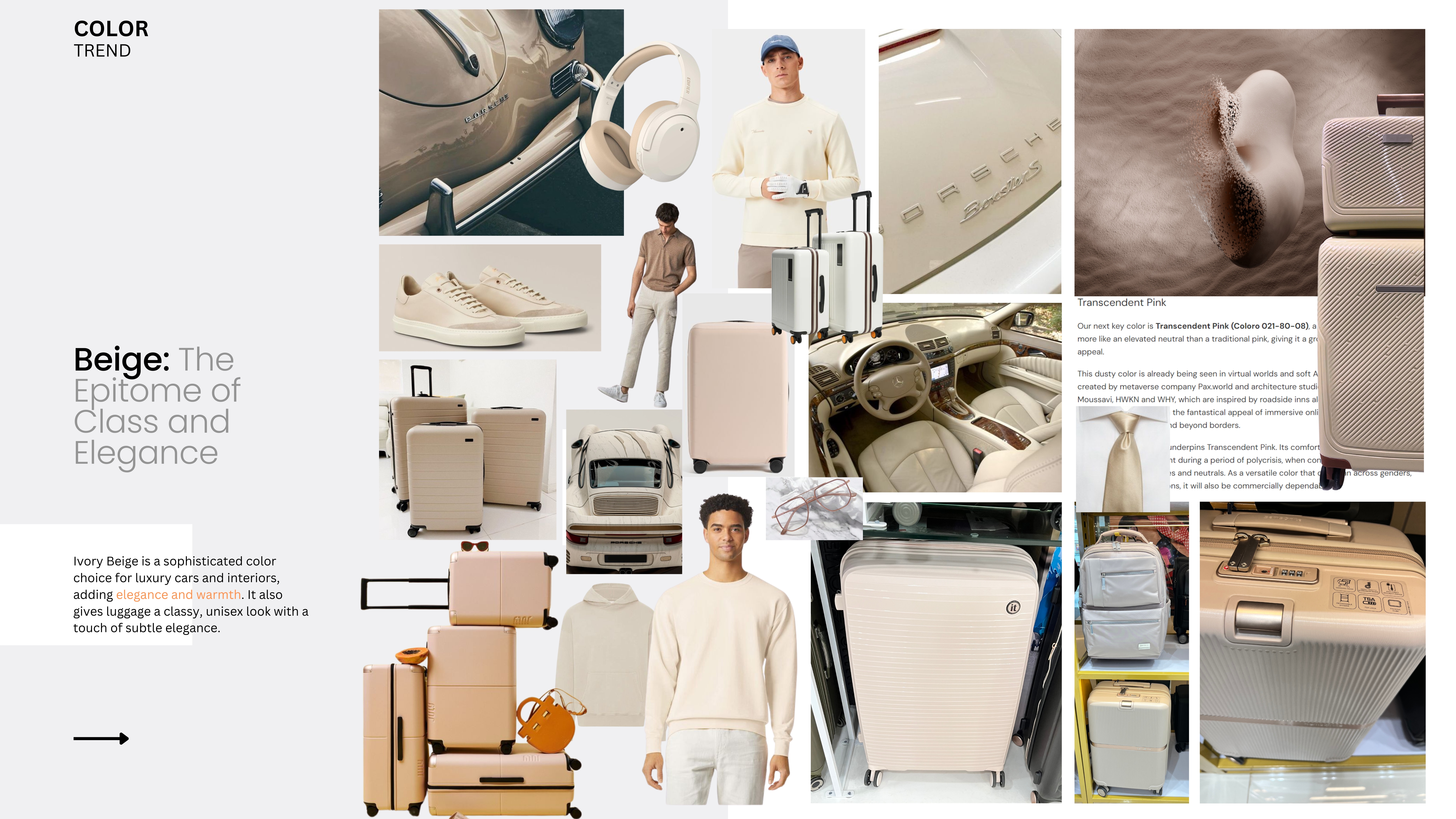 Ivory Beige colour trend board